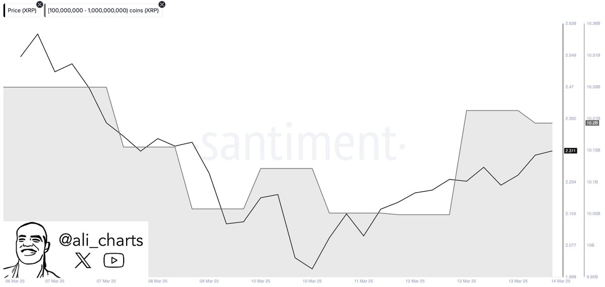 Whales bought over 150 million XRP in 48H | Source: Ali Martinez on X